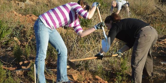 csr malaga reforest