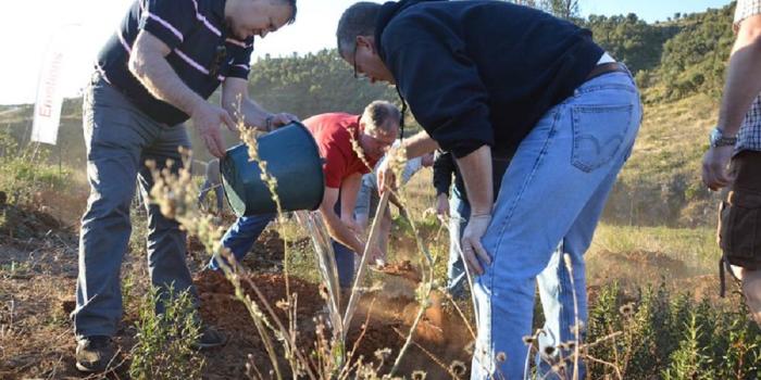 csr malaga reforest