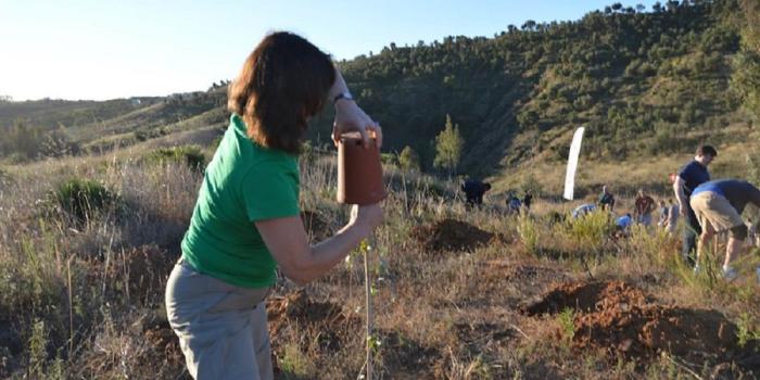 csr malaga reforest
