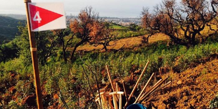 csr malaga reforest