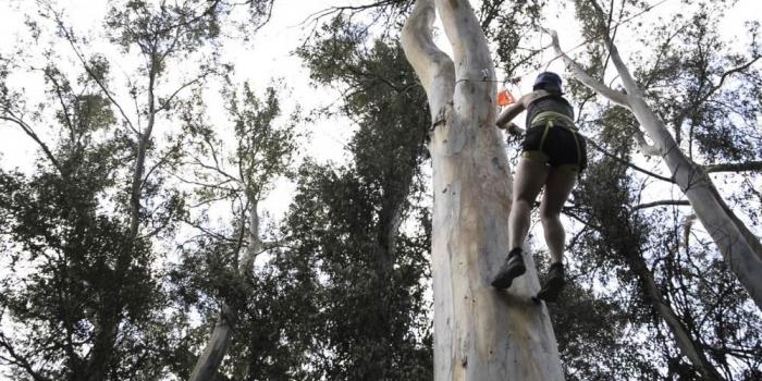 adventure activities for MICE on the Costa del sol, Spain